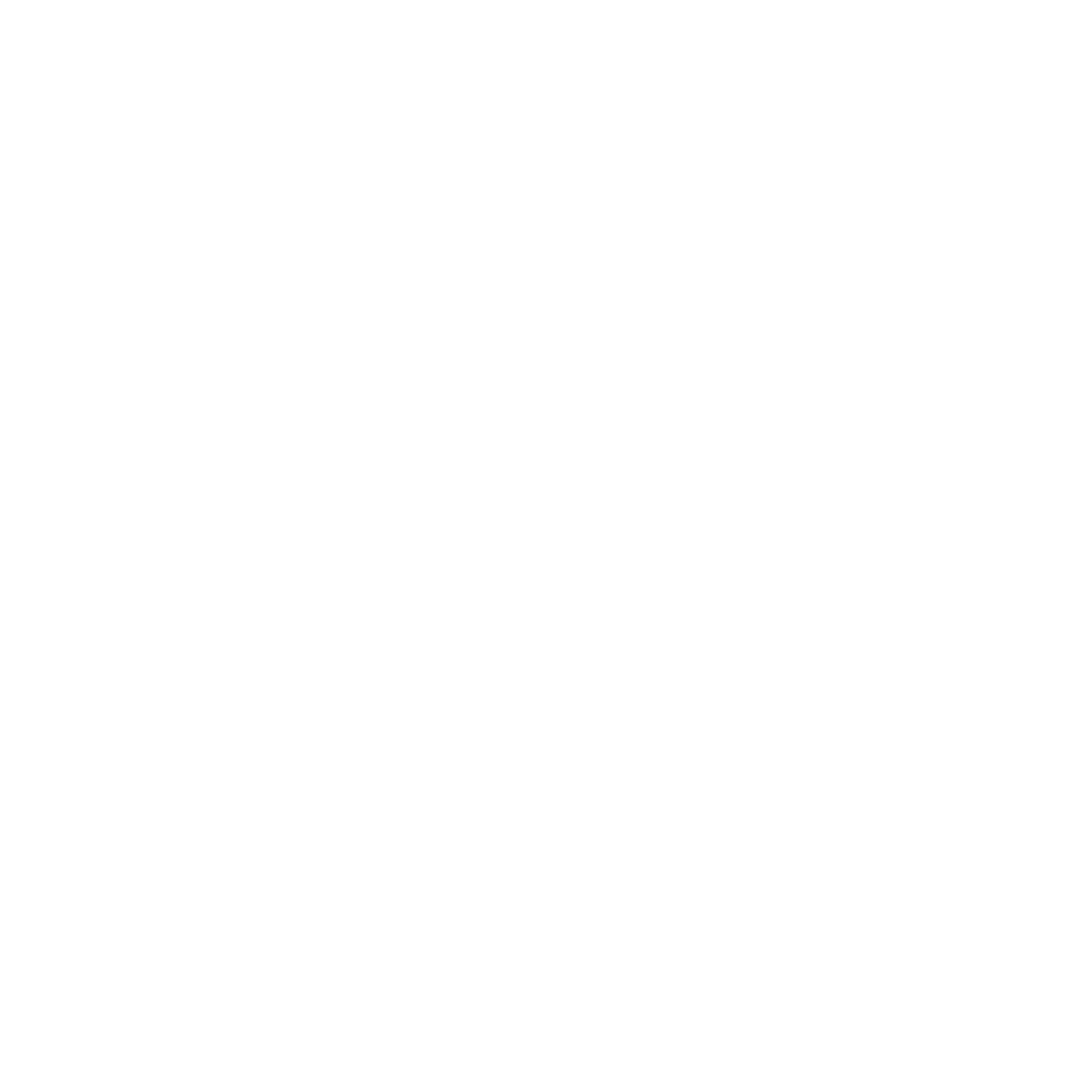 Bratislava Logo